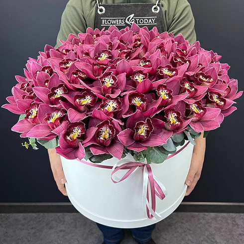 Яркие розовые орхидеи в коробке