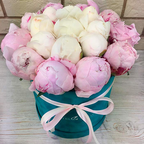 19 розовых и белых пионов в коробке