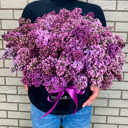 Сирень в черной коробке