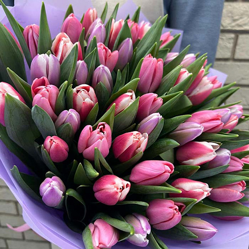 Фиолетовые и розовые тюльпаны микс