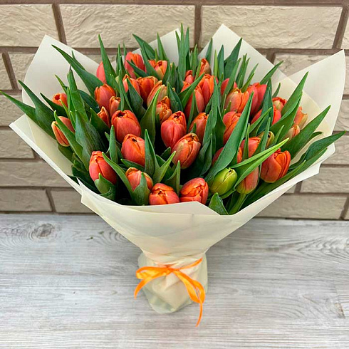 Оранжевые тюльпаны