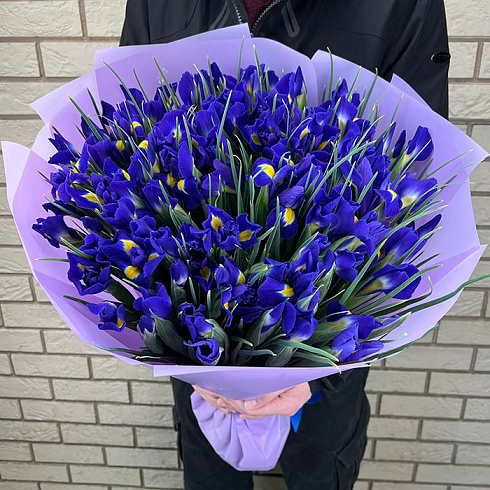 Синие ирисы в дизайнерской плёнке