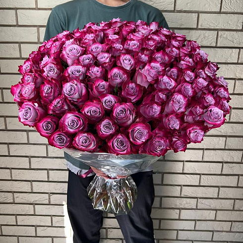 101 роза двухцветная