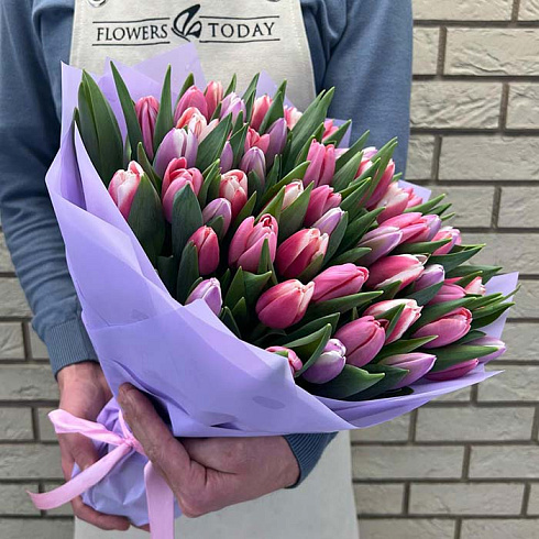 Фиолетовые и розовые тюльпаны микс