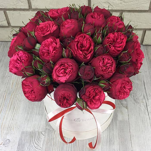 Пионовидные розы в бархатной коробке