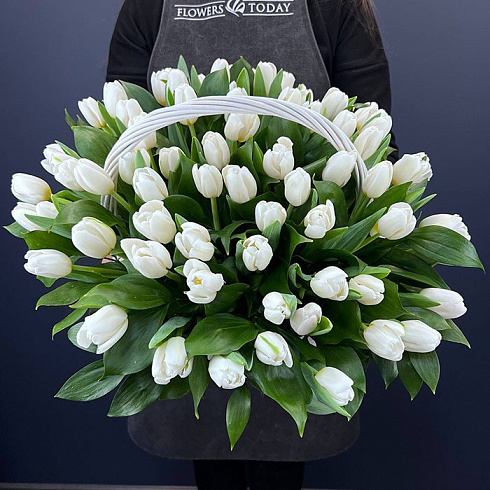 Белые тюльпаны в корзине