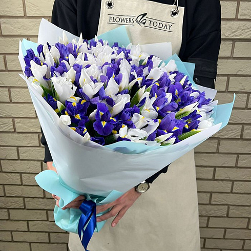 101 ирис микс