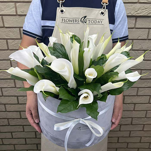 Белые каллы в коробке