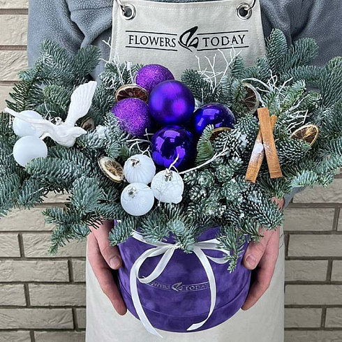 Живая ель с игрушками в коробке