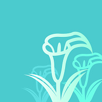 Открытка № 15