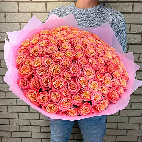 101 двухцветная роза