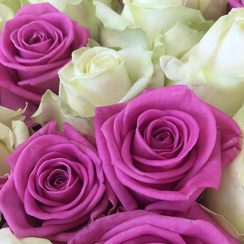 Розовые и белые розы микс