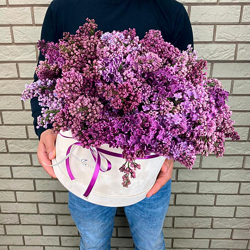 Сирень в бежевой коробке