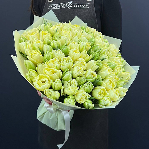 Пионовидные лимонные тюльпаны