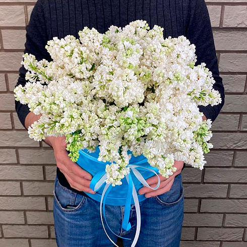 Белая сирень в коробке