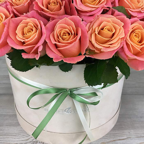 101 двухцветная роза