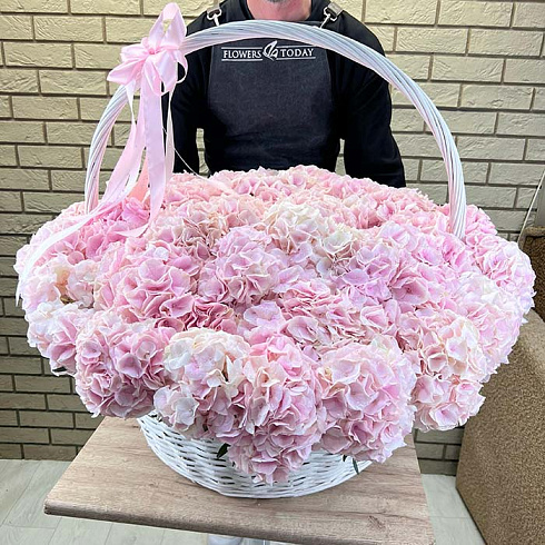 Нежно розовые гортензии в корзине