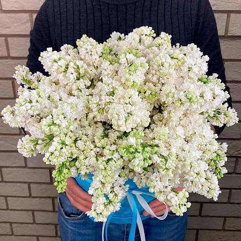 Белая сирень в коробке