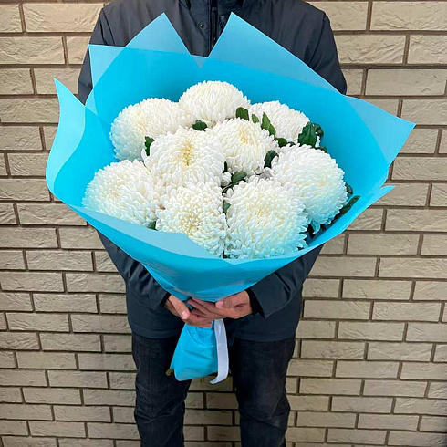 9 белых крупных хризантем