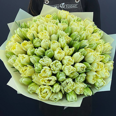 Пионовидные лимонные тюльпаны