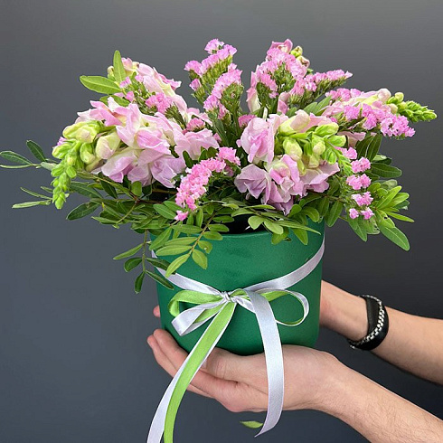 Небольшая композиция из антиринуума и статицы