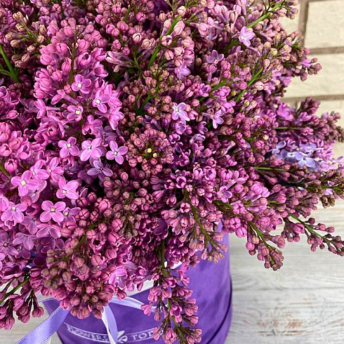 Сирень в коробке