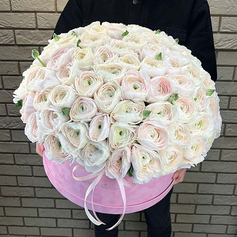 101 ранункулюс в коробке