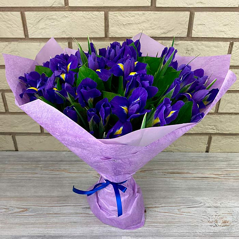 49 ирисов в дизайнерской упаковке