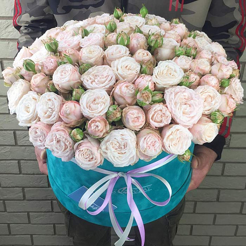 Кустовые пионовидные розы