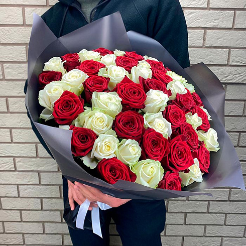 51 красная и белая роза