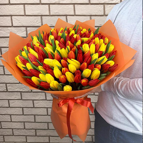 151 тюльпан микс