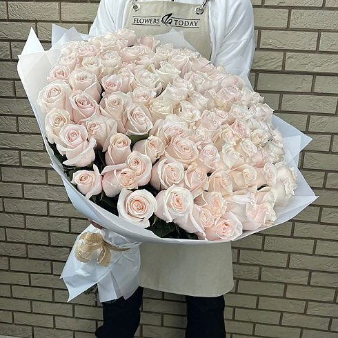 101 нежно розовая роза