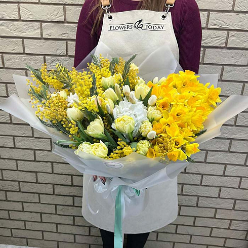 Нарциссы, мимозы и тюльпаны