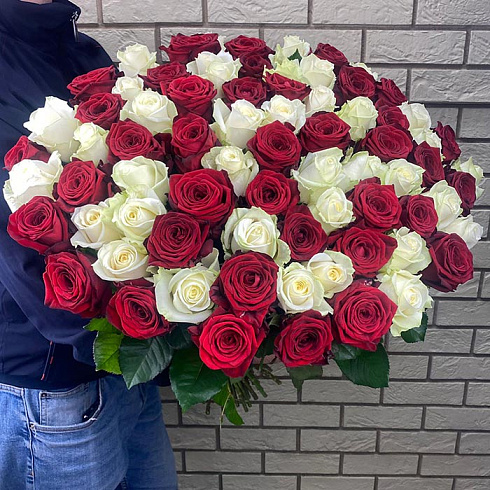 101 роза микс