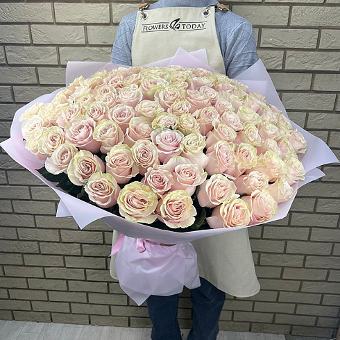 101 крупная кремовая роза