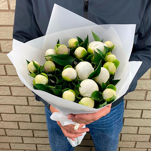 Белые пионы в упаковке