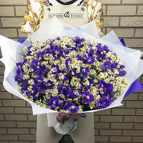 Ирисы и ромашки