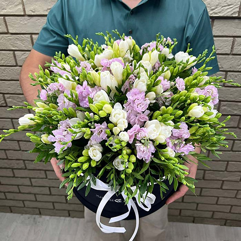 Фрезии, маттиола в коробке