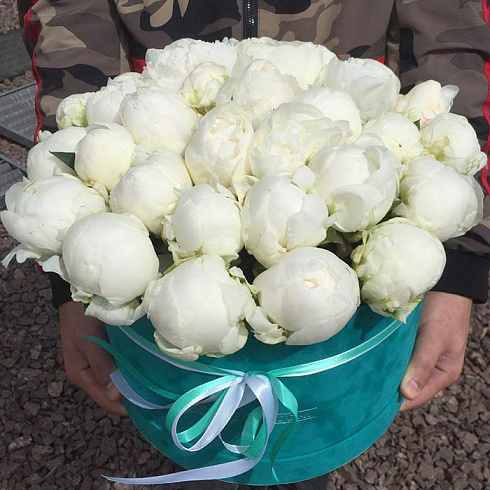 Белые пионы в бархатной коробке