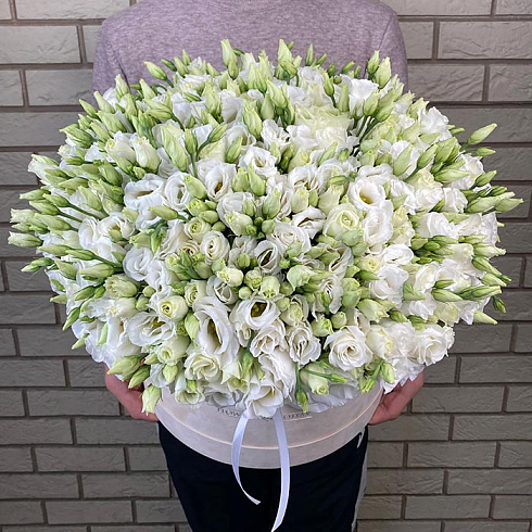 Эустомы белые в бархатной коробке