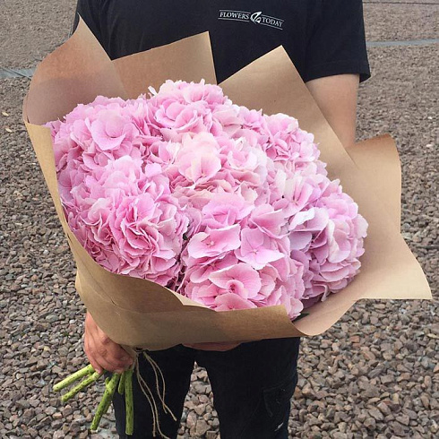 Розовые гортензии в крафте