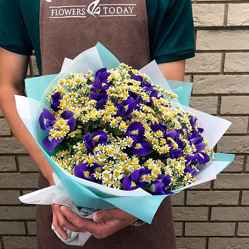 Ромашки и ирисы