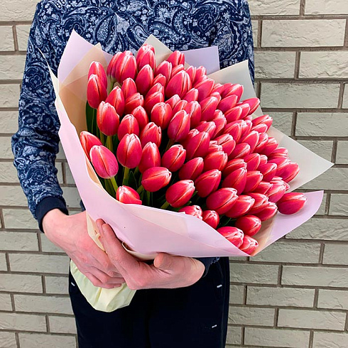 101 темно-розовый тюльпан