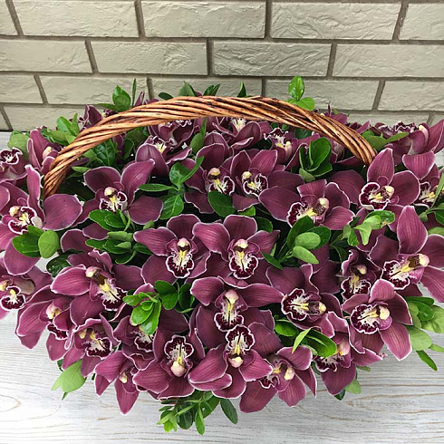 39 орхидеи в корзине