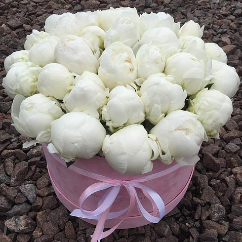 Пионы в коробке