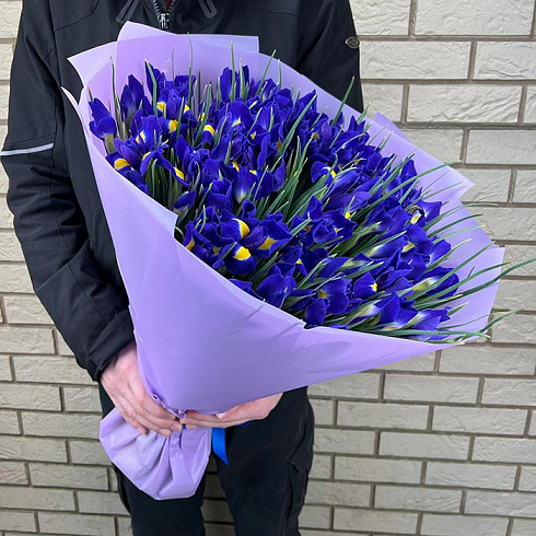 Синие ирисы в дизайнерской плёнке