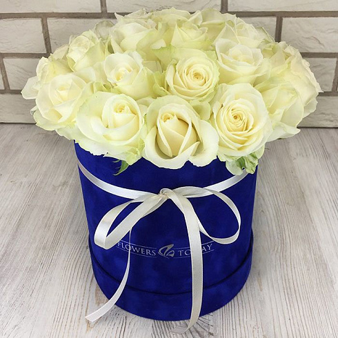 25 роз в бархатной коробке