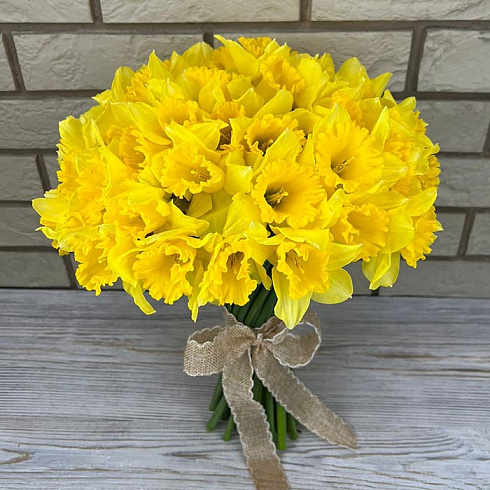 Желтые нарциссы