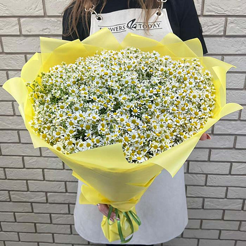 Ромашки кустовые в дизайнерской упаковке
