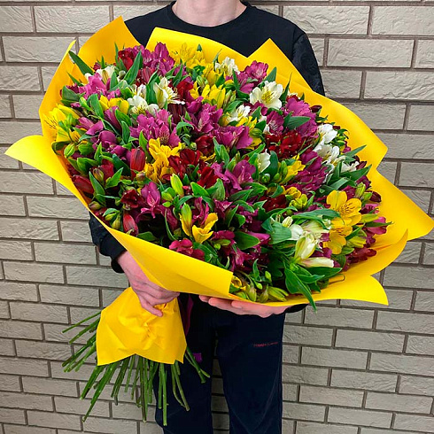 49 альстромерий микс